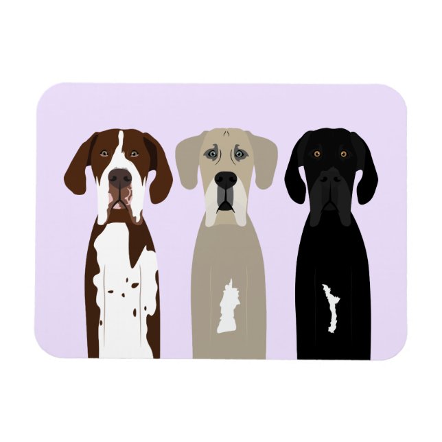 Great dane Hundar Magnet (Horisontell)