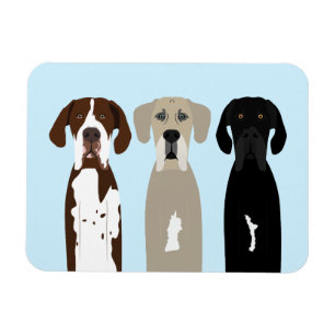 Great dane Hundar Magnet