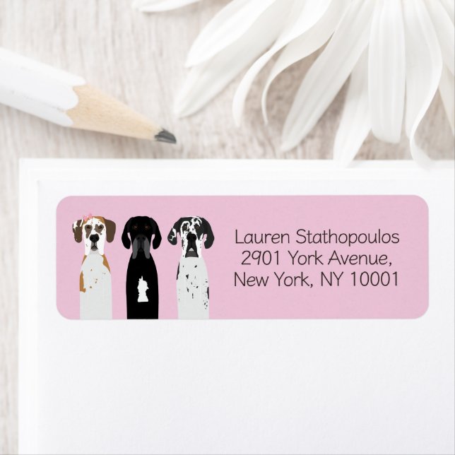 Great dane Hundar Returadress Etikett (Insitu)
