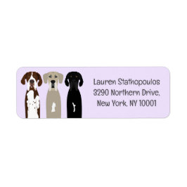 Great dane Hundar Returadress Etikett