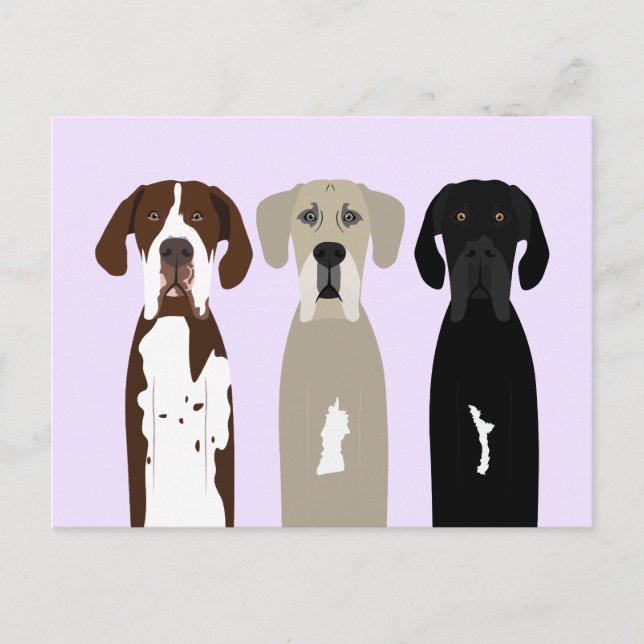 Great dane Hundar Vykort (Framsida)