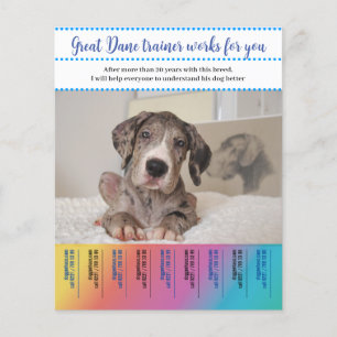 Great Dane Hundtränare Flygblad