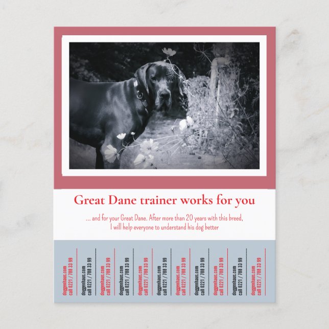 Great Dane Hundtränare Folder Flygblad (Framsidan)