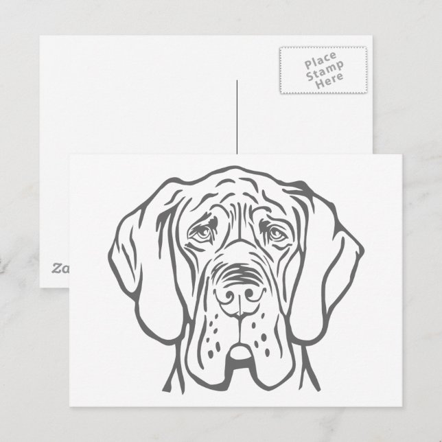 Great Dane-huvud ritat på vykort (Fram/baksida)