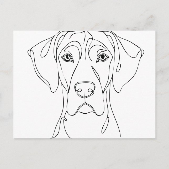 Great Dane Huvud ritning II Vykort (Framsida)