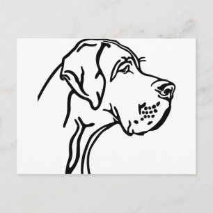 Great Dane-huvudteckning Vykort