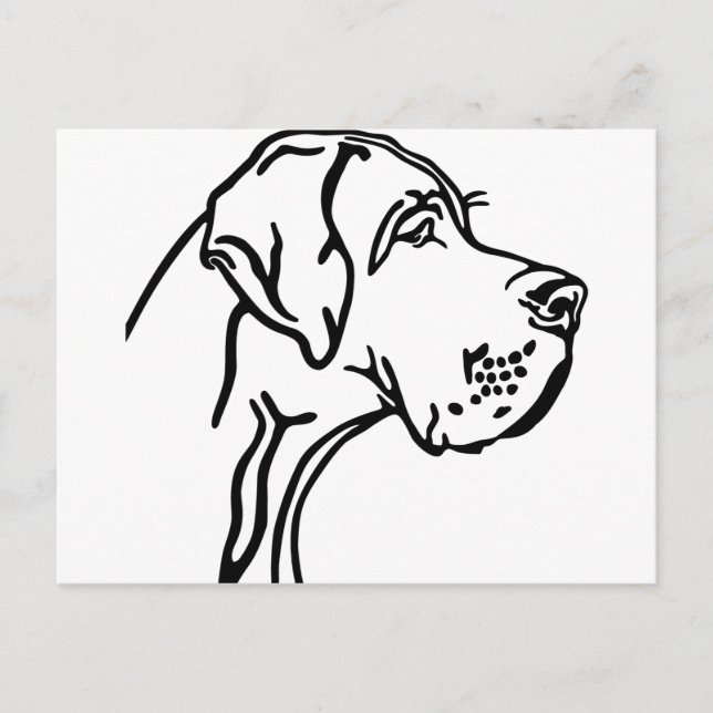 Great Dane-huvudteckning Vykort (Framsida)