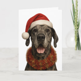 Great Dane in a Santa hat Christmas card Kort