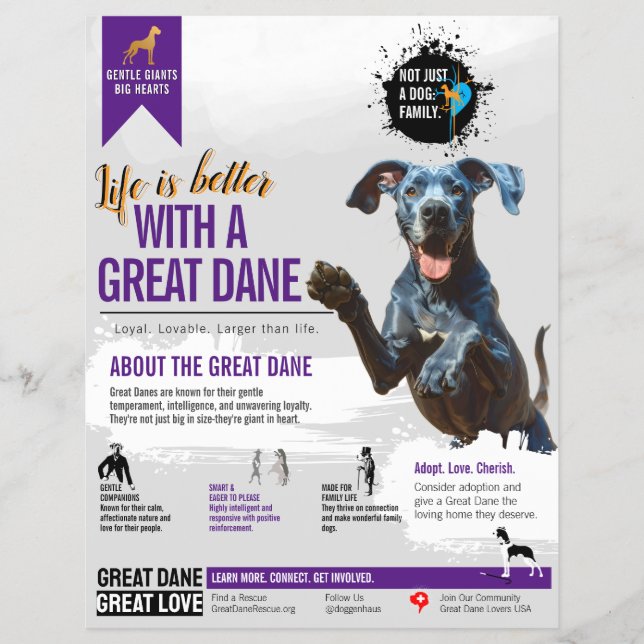 Great Dane informationsfolder  Reklamblad (Framsidan)