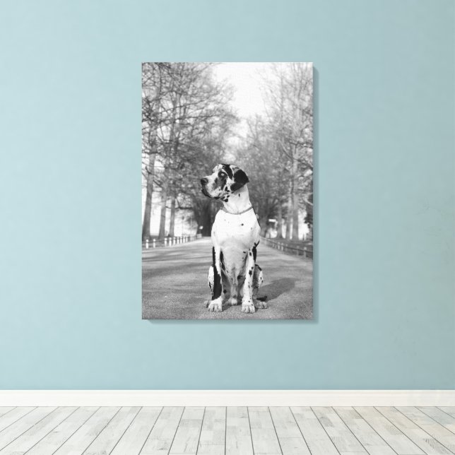 Great Dane Inkapslad Canvas (Insitu (trägolv))