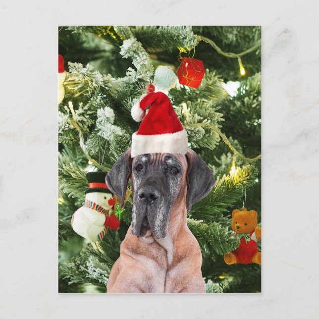 Great dane jul helg vykort (Framsida)