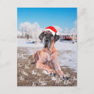 Great Dane jul Helg Vykort