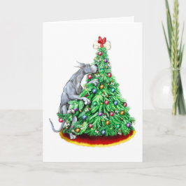 Great dane - jul - persikor - blått helgkort