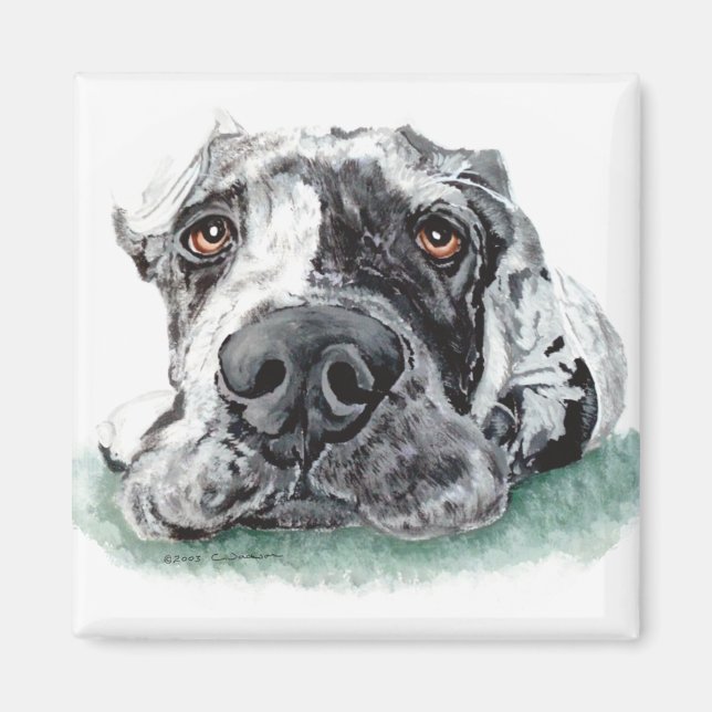 Great dane kapade upp Merle Magnet (Framsidan)