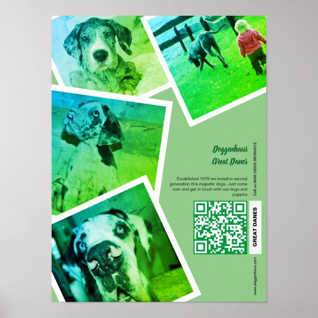 Great Dane Kennel Kampanj Poster (Framsidan)