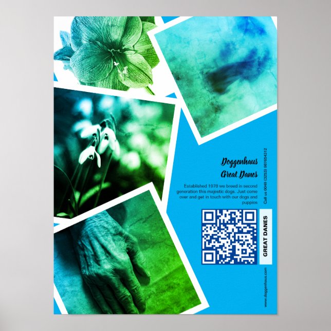 Great dane Kennel Promotion Poster (Framsidan)