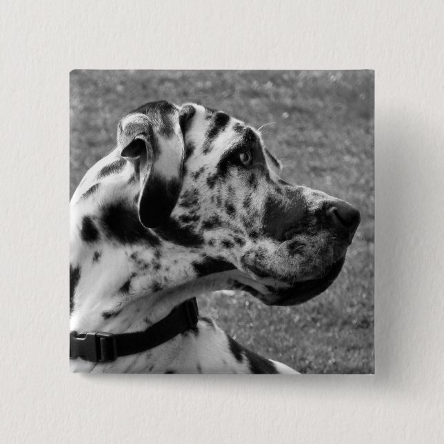 GREAT DANE KNAPP (Framsida)