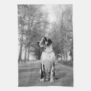 Great Dane Köksband Kökshandduk