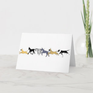 Great dane kort