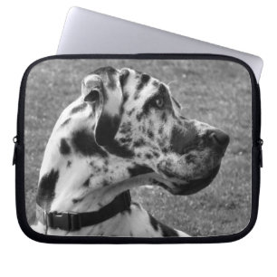 GREAT DANE LAPTOP FODRAL