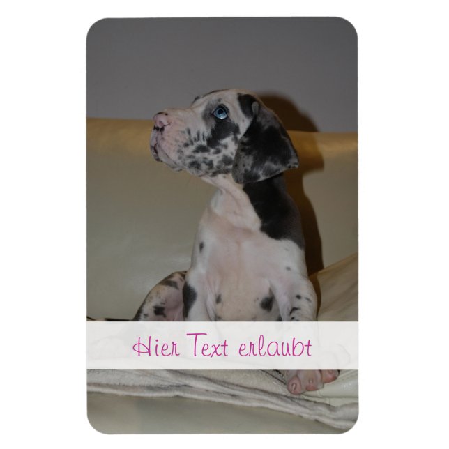 Great dane magnet (Vertikal)