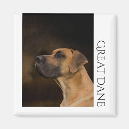 Great dane Magnet