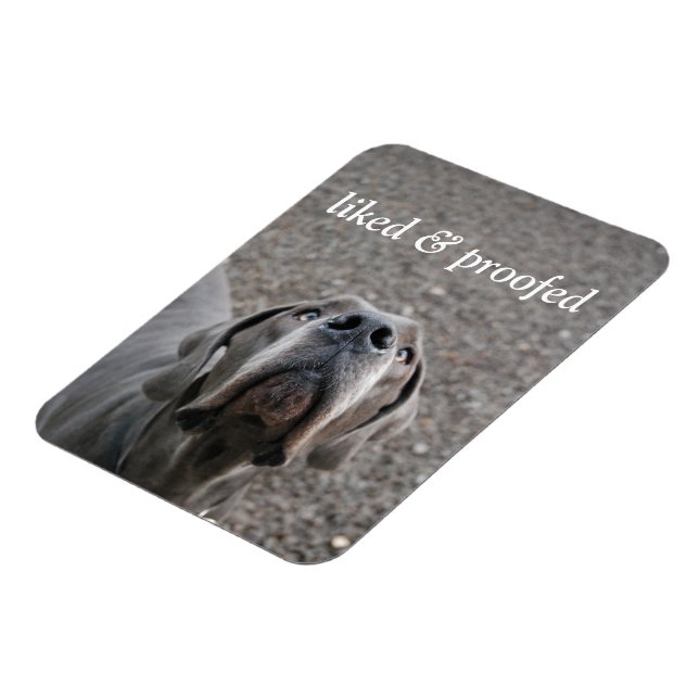 Great dane magnet (Vänstra Sidan)