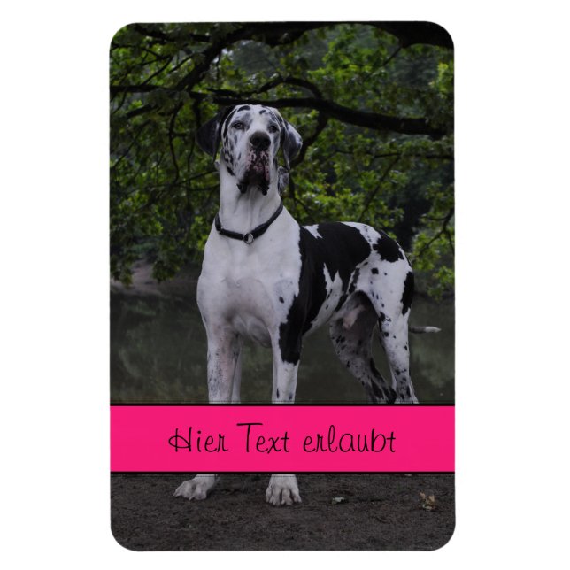 Great dane magnet (Vertikal)