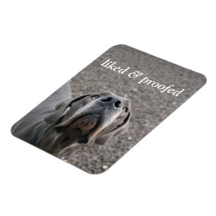 Great Dane-magnet Magnet