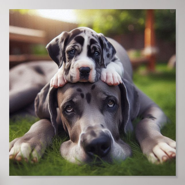 Great dane mamma och hennes valp poster (Framsidan)