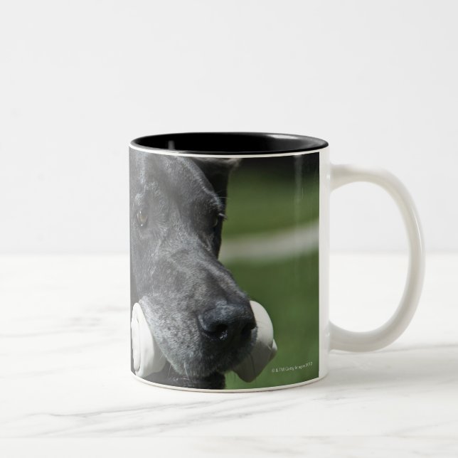 Great dane med ben Två-Tonad mugg (Höger)