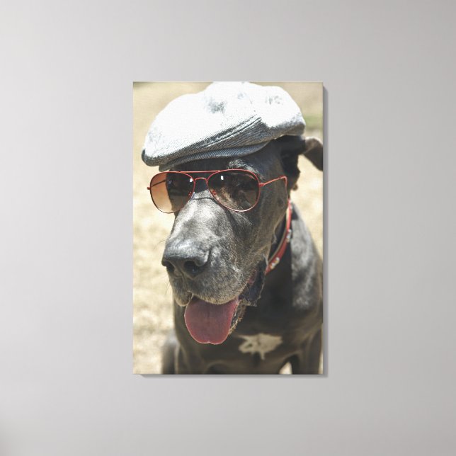 Great dane med hatt och solglasögon canvastryck (Framsida)