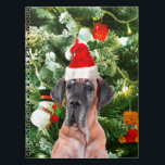 Great dane med Julgran Gift Boxes Santa Hat Anteckningsbok<br><div class="desc">En söt Great dane-hund som bär Red Santa Hat och som pockar framför vackert dekorerade Julgran,  med presentboxar snö,  nalle,  julprydnader. En perfekt på julen!</div>