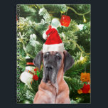 Great dane med Julgran Gift Boxes Santa Hat Anteckningsbok<br><div class="desc">En söt Great dane-hund som bär Red Santa Hat och som pockar framför vackert dekorerade Julgran, med presentboxar snö, nalle, julprydnader. En perfekt på julen!</div>