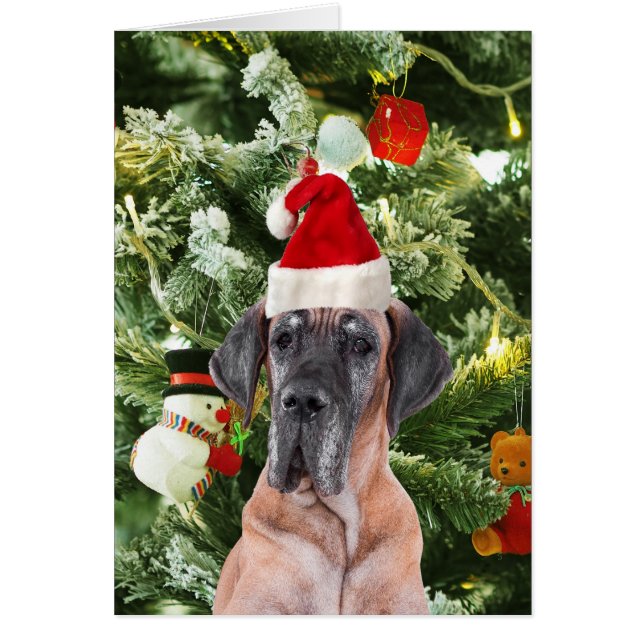 Great dane med Julgran Gift Boxes Santa Hat Hälsningskort (Framsidan)