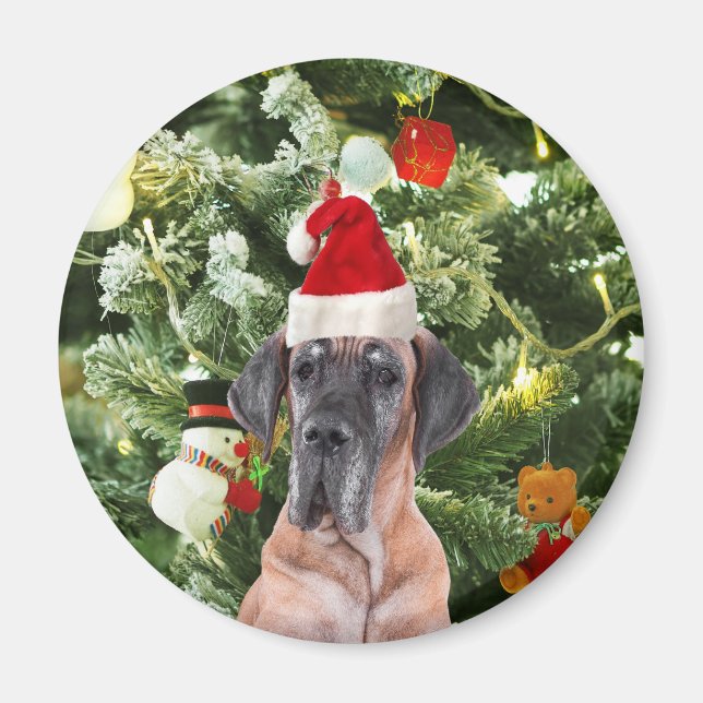Great dane med Julgran Gift Boxes Santa Hat Magnet (Framsidan)