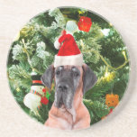 Great dane med Julgran Gift Boxes Santa Hat Underlägg Sandsten<br><div class="desc">En söt Great dane-hund som bär Red Santa Hat och som pockar framför vackert dekorerade Julgran,  med presentboxar snö,  nalle,  julprydnader. En perfekt på julen!</div>