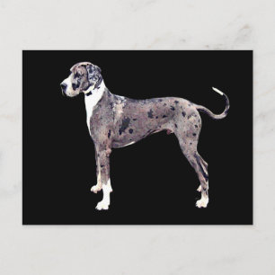 great dane Merle "Heffner" Vykort
