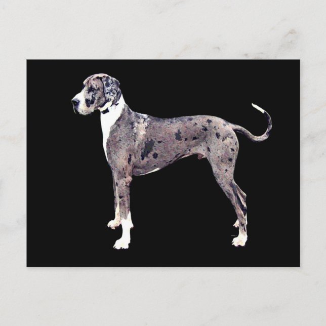great dane Merle "Heffner" Vykort (Framsida)