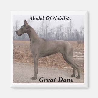 Great dane, modell för drivgarnet magnet