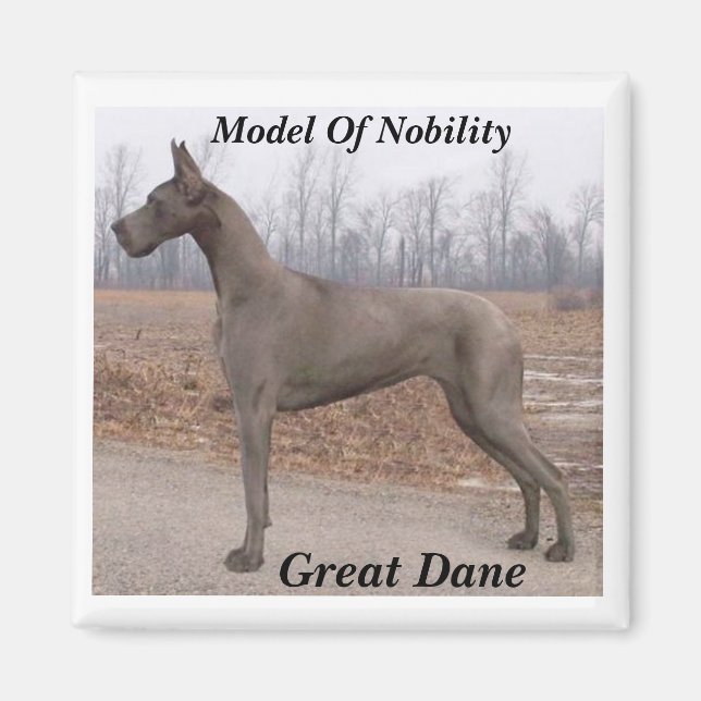 Great dane, modell för drivgarnet magnet (Framsidan)