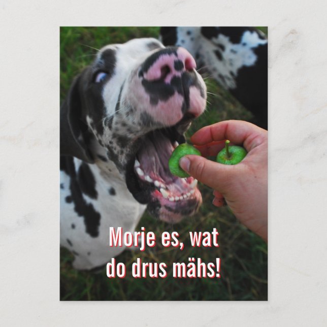 Great Dane Motto Motivation  Vykort (Framsida)