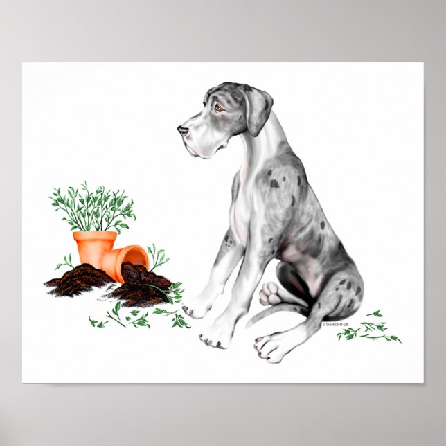 Great dane Naughty Valp MerleB UC Poster (Framsidan)