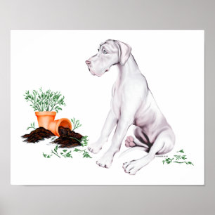 Great dane Naughty Valp White UC Poster