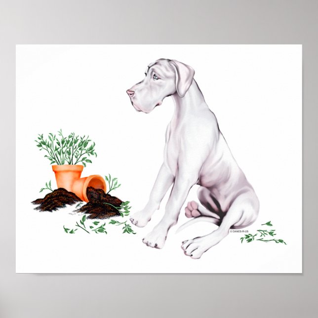Great dane Naughty Valp White UC Poster (Framsidan)