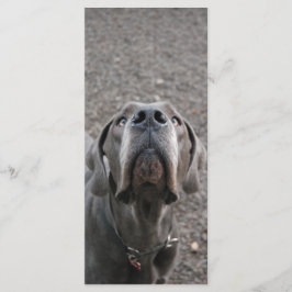 Great dane Nose Menykort Meny