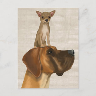 Great dane och Chihuahua 2 Vykort