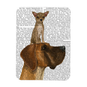 Great dane och Chihuahua Magnet