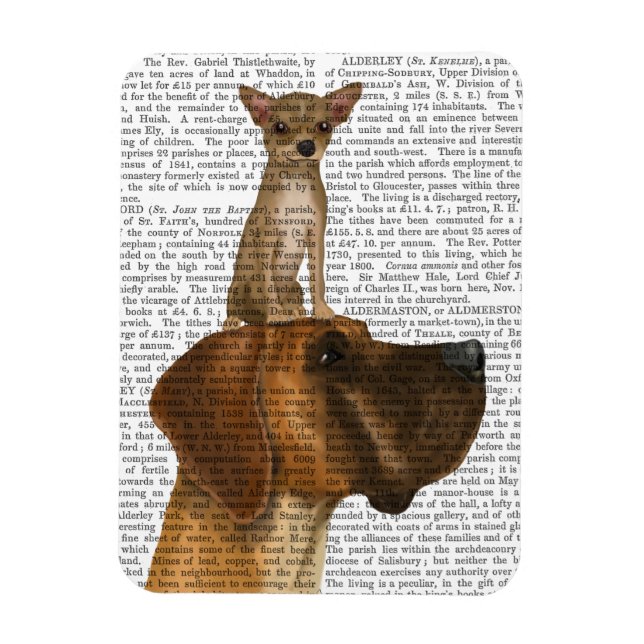 Great dane och Chihuahua Magnet (Vertikal)