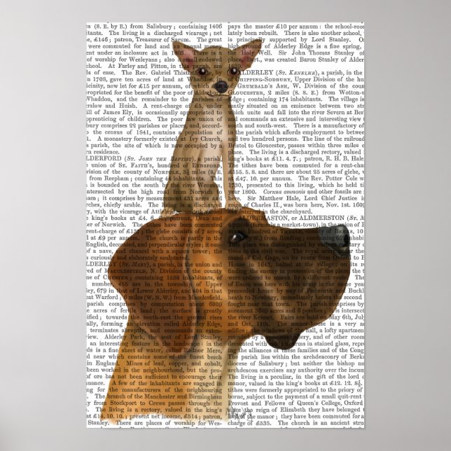 Great dane och Chihuahua Poster (Framsidan)